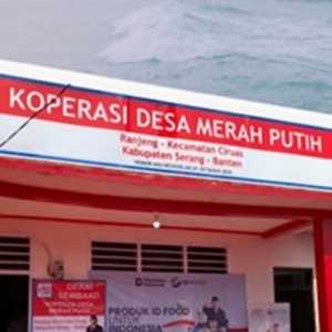 Implementasi KDKMP Masih Didominasi Administrasi dan Kepatuhan Fiskal