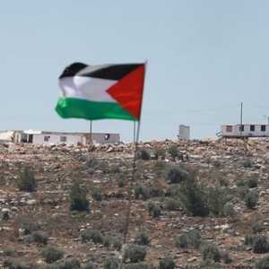 Halo BoP, Stop Kerdilkan Palestina Hanya Gaza