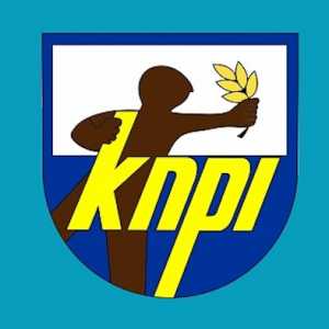KNPI Soroti Plus Minus Keputusan Prabowo Gabung Board of Peace