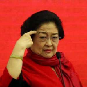 Megawati: Kritik ke Pemerintah harus Berbasis Data, Bukan Emosi