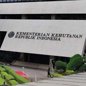 Persiden Cabut Izin 28 Perusahaan, Kinerja Kemenhut Harus Tetap Dievaluasi