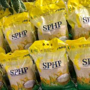 Bulog Optimis Amankan Target 4 Juta Ton Beras