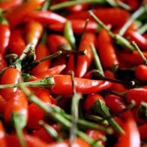 Harga Cabai Rawit di Bandar Lampung Masih Melambung Tinggi