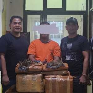 Ganja 26 Kg Gagal Diedarkan di Labusel