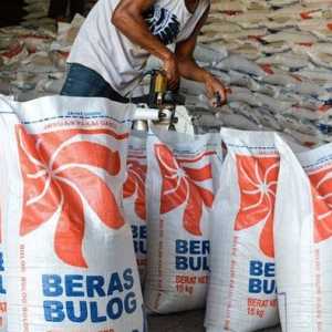 Bulog Salurkan Beras Premium untuk MBG dan Yonif TP
