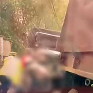 Dua Anggota Polri Gugur, TNI AD Sampaikan Duka dan Permohonan Maaf