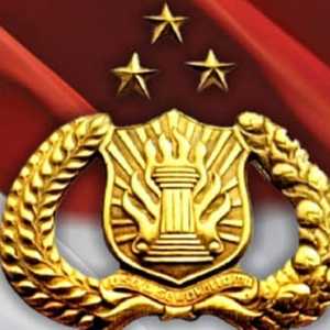 Polri di Bawah Presiden Desain Paling Ideal dalam Demokrasi