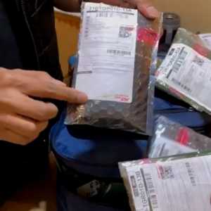 Polisi Bongkar Pengiriman Ganja dan Sabu Pakai Paket Online Palsu