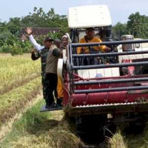 Produksi Padi di Kabupaten Kediri Meningkat Tajam Sepanjang 2025