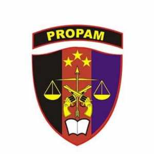 Bhabinkamtibmas di Banyumas Dilaporkan ke Propam Polri