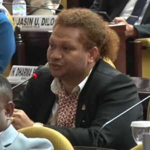 Senator Minta Prabowo dan Bahlil Setop Sawit di Papua