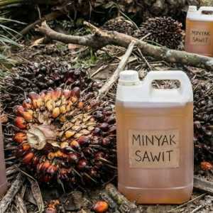 Harga CPO Terkerek Lonjakan Minyak Mentah Dunia