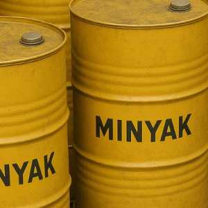 Harga Minyak Dunia Turun Momentum Perkuat Cadangan Energi Nasional