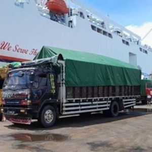 133 Ton Bawang Bombay Ilegal Senilai Rp6 Miliar Diamankan Tim Gabungan