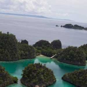 Papua jadi Tolok Ukur Implementasi Kebijakan Tata Kelola SDA