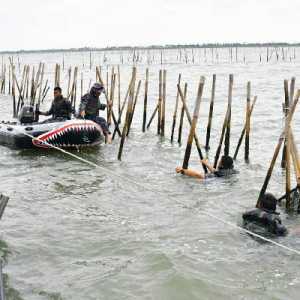 Pagar Laut dan Ujian Keadilan Ekologis Negara