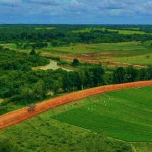 Taman Nasional Way Kambas Bakal Dibangun Tanggul Sepanjang 11 Km