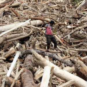 Negara Jangan Sampai Kalah Hadapi Perusahaan Pemicu Bencana Sumatera