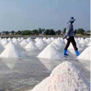 Pemprov Jatim Dorong Perikanan dan Industri Garam Naik Kelas