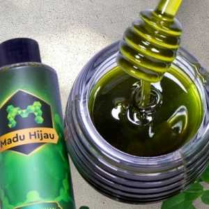 Peran Nutrisi Herbal, Jaga Kesehatan Lambung dan Stamina Selama Berpuasa