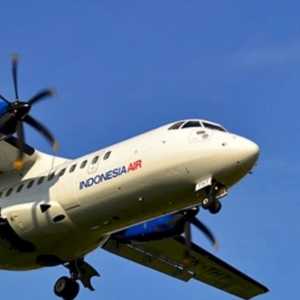Daftar Nama Penumpang dan Kru Pesawat ATR-400 Hilang Kontak Disewa Kementerian KP