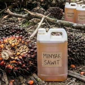 Stok Melimpah, Harga CPO Tertahan di Level Stagnan