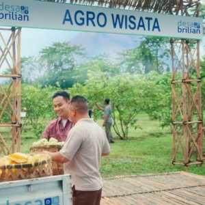 BRI Buka Pendaftaran Desa BRILiaN 2026, Ini Syaratnya