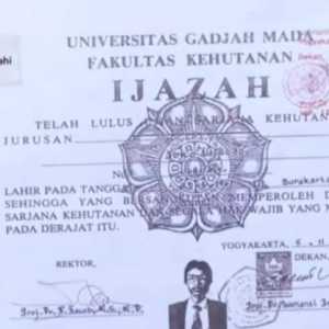 Jokowi Jujur Saja Biar Cepat Kelar Urusan Ijazah