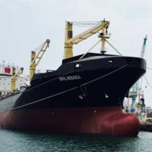 NASDEC Tulang Punggung Industri Maritim