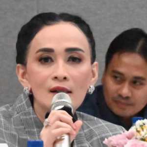 DPR Minta Pemerintah RI Tegur Israel Lewat Forum BOP