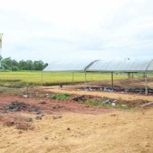 Pembangunan Akses Jalan Lumbung Pangan Merauke Terhambat Cuaca