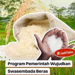 Swasembada Pangan Berkelanjutan Lewat Modernisasi dan Deregulasi