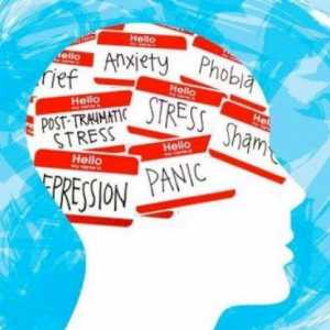 Bukan Cuma MBG, Pemerintah Dituntut Perhatikan Kesehatan Mental Anak