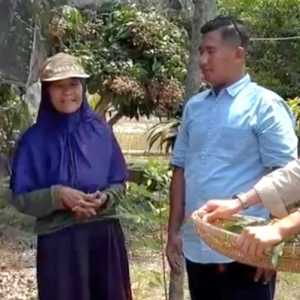 Dapur MBG Kagungan Ratu Berdayakan Kelompok Wanita Tani