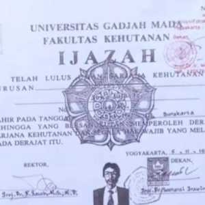 Lika-liku Bonatua Mencari Kebenaran Ijazah Jokowi