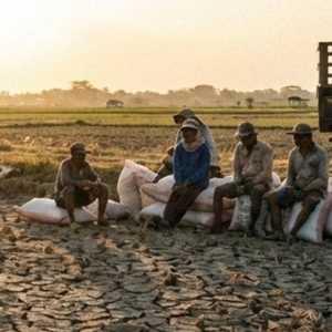 Ilusi Swasembada Pangan Kementan