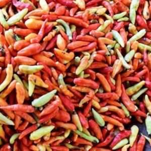 Harga Cabai Rawit Meroket di Kota Bogor Jelang Ramadan