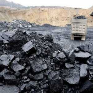 Pemotongan RKAB Batu Bara Harus Lindungi Kepentingan Rakyat