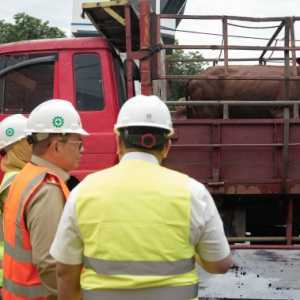 Stok Daging di Jakarta Aman dan Harga Stabil pada Ramadan-Lebaran