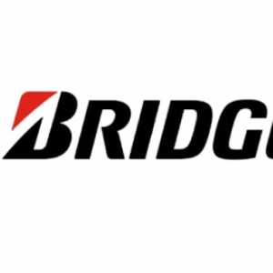 Bridgestone Buka Suara soal TKA Singapura yang Diduga Langgar Izin Tinggal