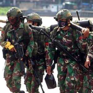 Pemerintah Harus Berhati-hati Sebelum Kirim Prajurit TNI ke Gaza