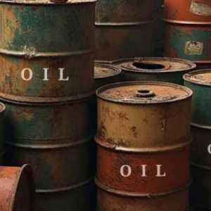 Sentinel: Digitalisasi Seharusnya Memperkuat Pengendalian Subsidi