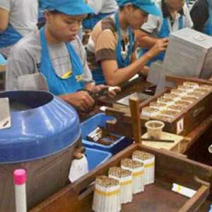 KPK Bongkar Modus Cukai Rokok Palsu, Produsen Bakal Diseret