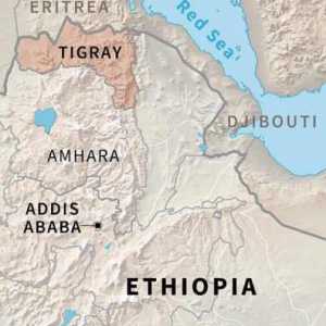 Eritrea Bantah Keras Tudingan Militernya Masuk Teritori Ethiopia