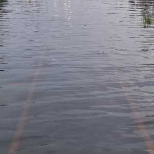 Perjalanan KA Memutar Imbas Rel Kebanjiran di Grobogan