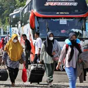 Ramainya Peminat Mudik Gratis Tanda Sukses Program atau Ekonomi Lesu?
