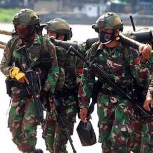 Trump Jadi Imam Perang, Pengiriman Pasukan TNI ke Gaza Sebaiknya Dibatalkan