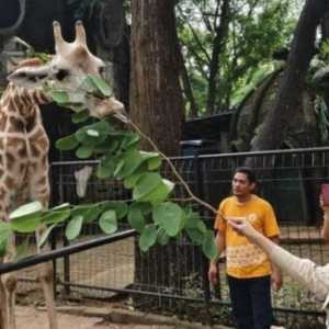 TMR Hadirkan Hiburan Menarik Selama Libur Lebaran
