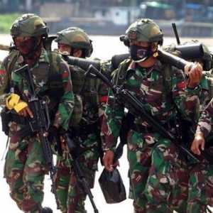 PBB Harus Usut Serangan Israel yang Tewaskan Prajurit TNI