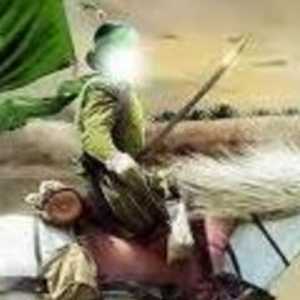 Muawiyah Ubah Khilafah Jadi Tahta Warisan Anak